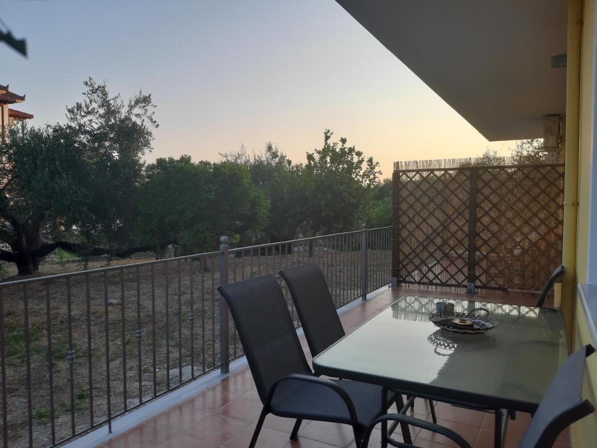 Olive Tree Apartment