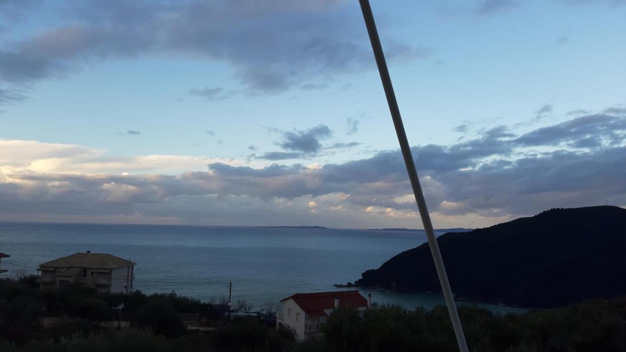 Olive Tree * Parga