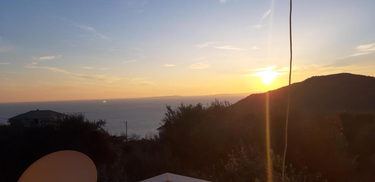 Apartment Olive Tree Parga